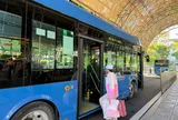 TP.HCM ghi nhận tín hiệu tích cực ngay ngày đầu triển khai miễn phí vé xe buýt