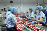 Thu nhập trên 28,6 triệu đồng/tháng mới phải nộp thuế TNCN
