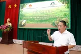 Tập Đoàn Tài 001: Mở rộng thị trường nội địa, xây dựng chuỗi sầu riêng  minh bạch từ vùng trồng đến người tiêu dùng
