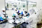 Miễn thuế thu nhập cá nhân để thu hút nhân tài lĩnh vực dữ liệu