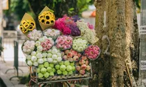 Miền Bắc hửng nắng, Trung Bộ và Nam Bộ còn mưa lớn