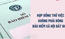Hợp đồng thử việc không đóng bảo hiểm xã hội bắt buộc