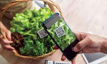 Kiên quyết xử lý tiêu cực trong cấp và quản lý mã số vùng trồng, bảo vệ uy tín nông sản Việt