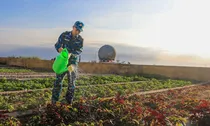 Chuyện những người lính chắt nước mưa giữ trời