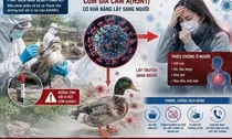 Phát hiện vi-rút cúm A(H5N1) trên đàn vịt, Điện Biên khẩn trương siết chặt phòng dịch