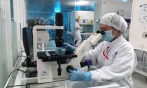 TP.HCM đề xuất hỗ trợ ban đầu hơn 500 triệu đồng cho chuyên gia, nhà khoa học