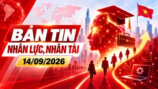 Bản tin Nhân lực, Nhân tài (14/09): 38.000 việc làm và trách nhiệm bữa ăn bán trú