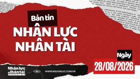 Bản tin Nhân lực, Nhân tài (28/08)