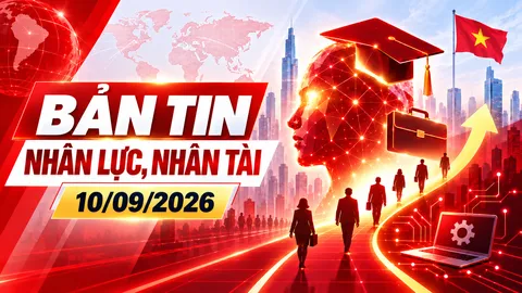 Bản tin Nhân lực, Nhân tài (10/09)