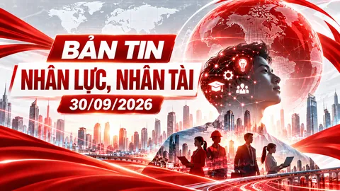 Bản tin Nhân lực, Nhân tài (30/09): Dạy nghề nông thôn, thâm niên nhà giáo và nhân lực nghiên cứu