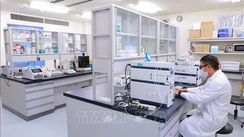 Nhà khoa học Việt Nam duy nhất tại Nhật Bản có tên trong bảng xếp hạng của Research.com