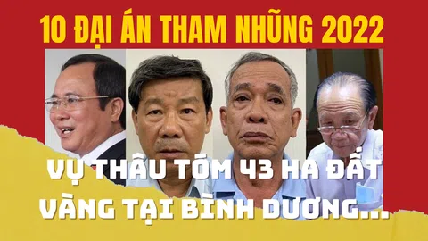 10 Đại án 2022: Vụ thâu tóm 43 ha đất vàng tại Bình Dương