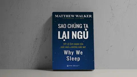 ‘Sao chúng ta lại ngủ’ - Bí mật về sức mạnh của giấc ngủ