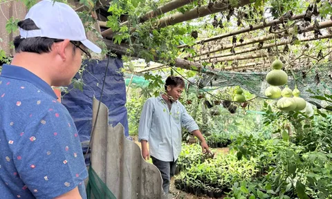 A Lưới 2 khơi dậy động lực phát triển từ các mô hình kinh tế