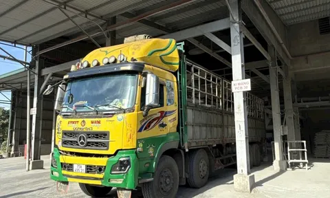 Xi măng Long Thọ mở lối sang thị trường biên giới Lào