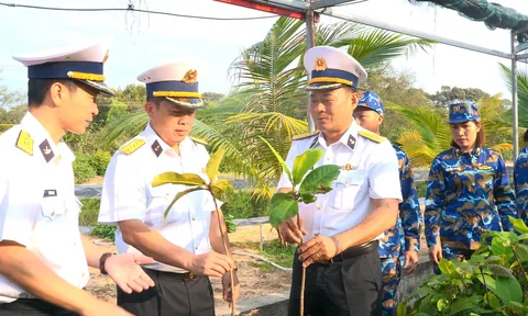 Phòng Hậu cần - Kỹ thuật Vùng 4 Hải quân phát động ươm, chiết, nhân giống 30.000 cây trồng