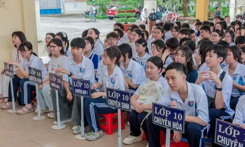 Tỉnh Cà Mau: Triển khai chính sách học bổng mới đối với học sinh các trường trung học phổ thông chuyên trên địa bàn