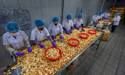 Đồng Tháp: Hơn 9,4 tỉ đồng hỗ trợ các đề án khuyến công địa phương