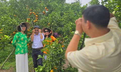 Đồng Tháp: Nâng cao chất lượng dịch vụ, bảo đảm cuộc sống cho người dân tham gia hoạt động du lịch
