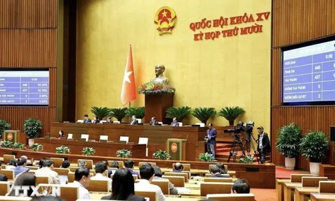 Quốc hội thông qua Luật Báo chí sửa đổi, bổ sung quy định về cơ quan báo chí chủ lực