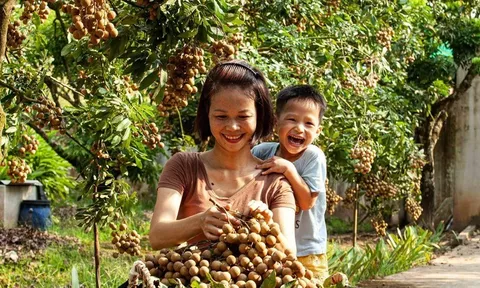 Chuyển đổi số trong giảm nghèo: Từ công cụ hỗ trợ đến động lực phát triển