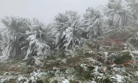 Không khí lạnh tăng cường, Hà Nội rét xuống 13°C dịp cuối năm