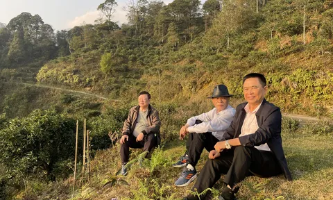 Tả Phìn Hồ và câu chuyện của một thầy thuốc người Dao