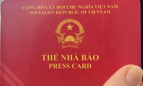 Hướng dẫn khai hồ sơ cấp thẻ nhà báo trên hệ thống dịch vụ công