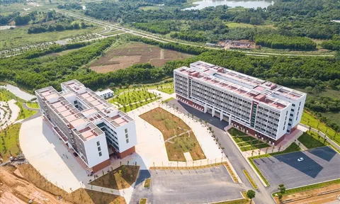 Đại học hàng đầu phải tạo tri thức mới, đào tạo nhân tài