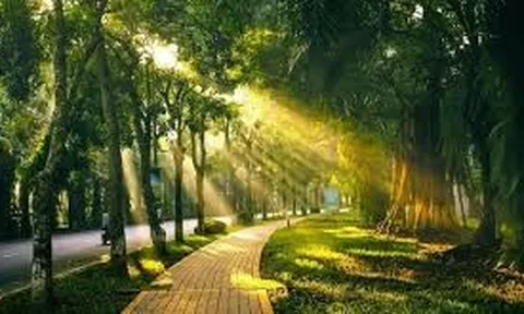Hà Nội tăng nhiệt, trời nắng trở lại trong ngày 10/6