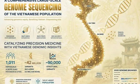 Hơn 1.000 bộ gene người Việt mở đường cho y học chính xác