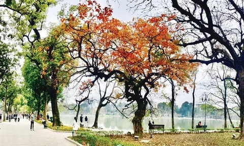 Nước lũ phía Bắc rút, Nam Trung Bộ và Nam Bộ đón đợt mưa lớn mới