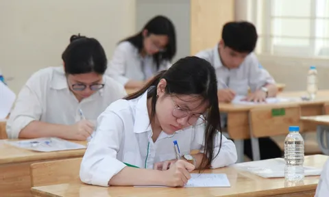 IELTS trong tuyển sinh đại học: Khi cuộc đua chứng chỉ tạo khoảng cách cơ hội