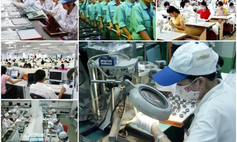 Dữ liệu giúp nhận diện nhu cầu nhân lực đang thay đổi