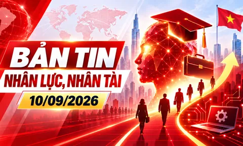 Bản tin Nhân lực, Nhân tài (10/09)