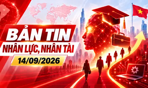 Bản tin Nhân lực, Nhân tài (14/09): 38.000 việc làm và trách nhiệm bữa ăn bán trú