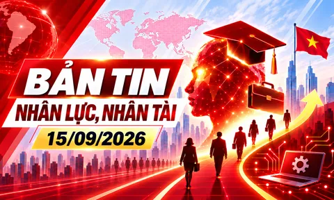 Bản tin Nhân lực, Nhân tài (15/09): Điện tử, mầm non và lương trả sau nghỉ việc