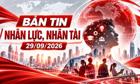 Bản tin Nhân lực, Nhân tài (29/09): Tuyển dụng không giới hạn tuổi, kỹ năng nghề và quy chế đào tạo mới