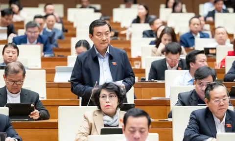 Đại biểu Quốc hội đề xuất cấm tuyệt đối thuốc lá điện tử, thuốc lá nung nóng và khí N2O
