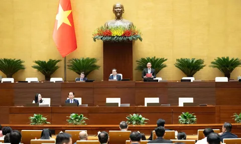 Tuần làm việc thứ 7, Quốc hội thảo luận về công tác nhiệm kỳ của Chủ tịch nước, Chính phủ