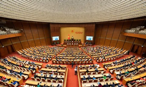 Quốc hội thông qua Nghị quyết Kỳ họp thứ 10, Quốc hội khoá XV