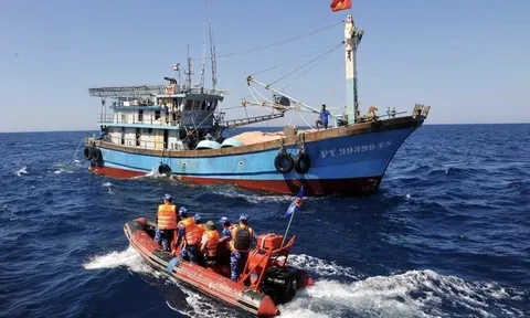 Sử dụng tối đa các công cụ để chống khai thác IUU và rà soát, đề xuất công cụ mới