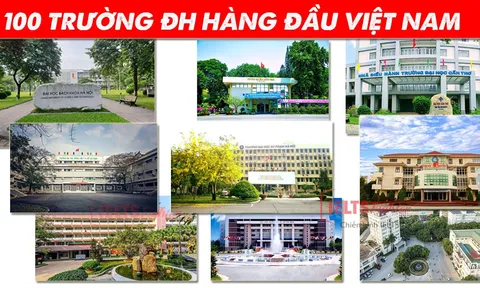 Tái cấu trúc hệ thống đại học để tập trung nguồn lực, nhân lực hướng tới chuẩn quốc tế