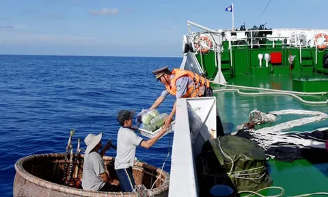 Thủ tướng yêu cầu 15/22 địa phương có kế hoạch chuyển đổi nghề bền vững cho ngư dân