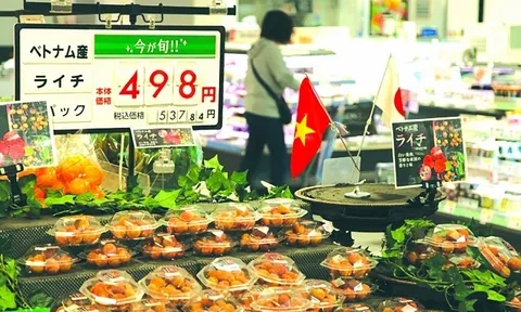 Việt Nam duy trì sức hấp dẫn, tạo niềm tin cho nhà đầu tư Nhật Bản