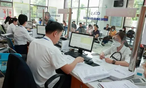 Điều kiện, tiêu chuẩn bổ nhiệm phó trưởng phòng cấp xã