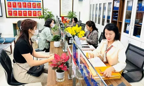 Lao động hợp đồng thực hiện nhiệm vụ công chức được hưởng chế độ gì?