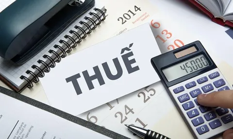 Định hướng cải cách thuế nhằm nuôi dưỡng nguồn thu trung – dài hạn