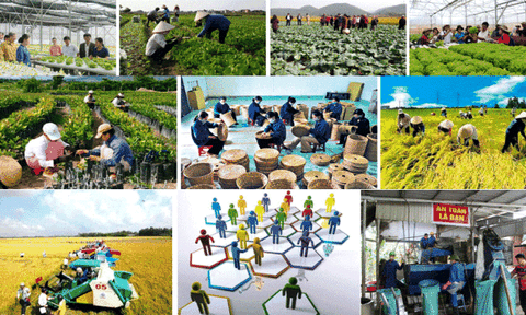 Công bố mức sống tối thiểu hằng năm làm căn cứ xác định các chuẩn chính sách xã hội