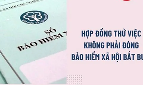 Hợp đồng thử việc không đóng bảo hiểm xã hội bắt buộc